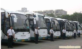 上海租車服務(wù)指南 從日常代步到長(zhǎng)途包車的全方位選擇